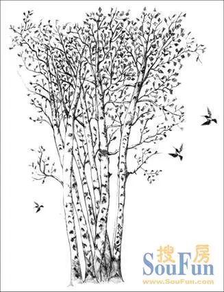 梦境——白桦,白云格格的化身