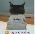 ̳֮ǣjbh110