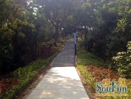 绿道迎新春 元月1日马鞍山公园举行开园仪式