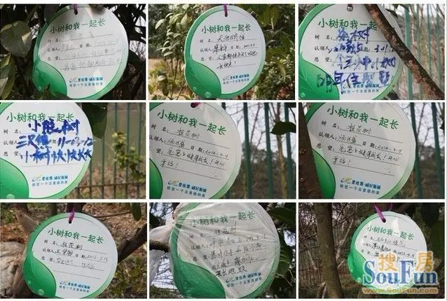 献绿色爱心碧桂园威尼斯城第三届岛主植树节