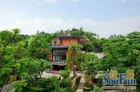 踏春嘉年华 与湘江壹号来个快乐约会