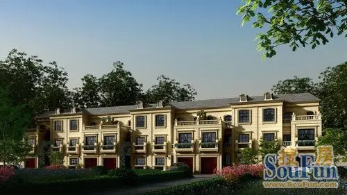 南侧与植物园仅,周围居住小区均是保定市高档小区人员素质较高,私享