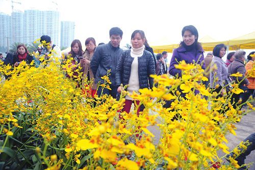 迎春花会上争奇斗妍的花卉吸引市民目光。记者 赖有光摄