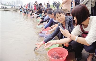 200多名市民在邕江边投放150万尾鱼苗 记者 宋延康 摄 