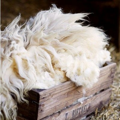 安哥拉羊毛以及克什米尔羊毛
