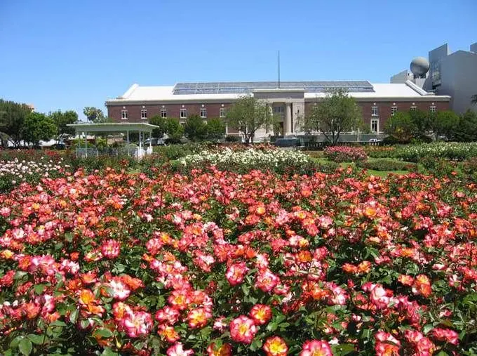 park rose garden这座建于1911年,贝弗利山最古老的建筑物之一的花园