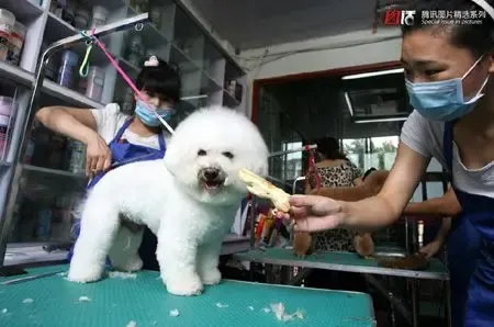 组图：万象烟哈希娱乐- 哈希游戏平台- 哈希游戏官方网站火