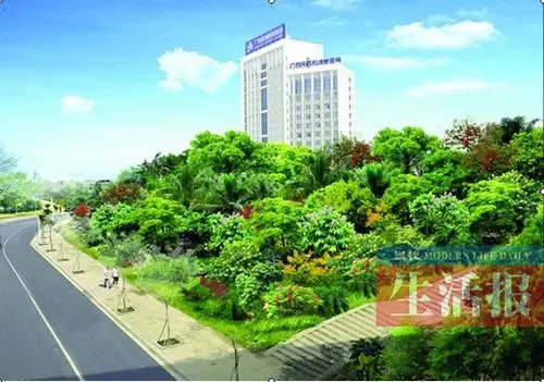 南宁白沙大道3条立交道路绿化改造有望绿荫满地
