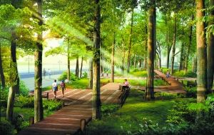 常州新北打造城市绿肺 10个青枫公园