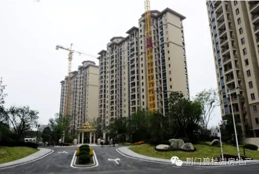 荆门碧桂园首创"上南区"生活新概念 助力城市升级