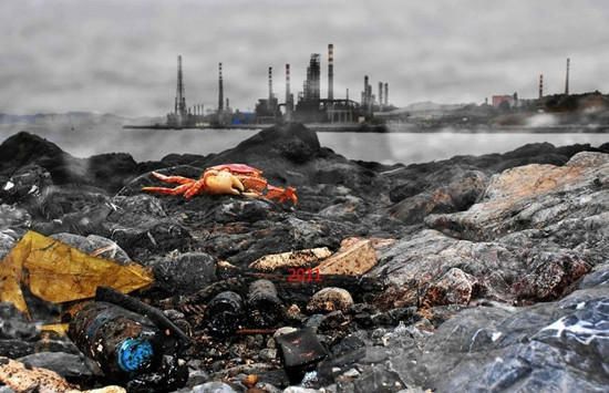 大连甘井子区海茂岛附近海域(蟹子湾),百米海滩被油污覆盖,环境污染太