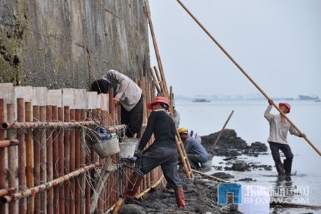 工人搭架修复海堤。