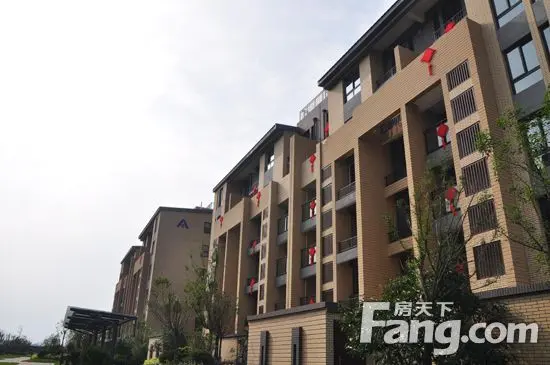 建业联盟新城一期完美交房私人订制体验震撼全城