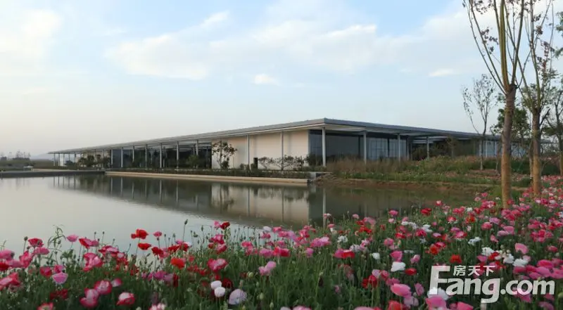 白鹭湾文化中心—日照市的文化名片
