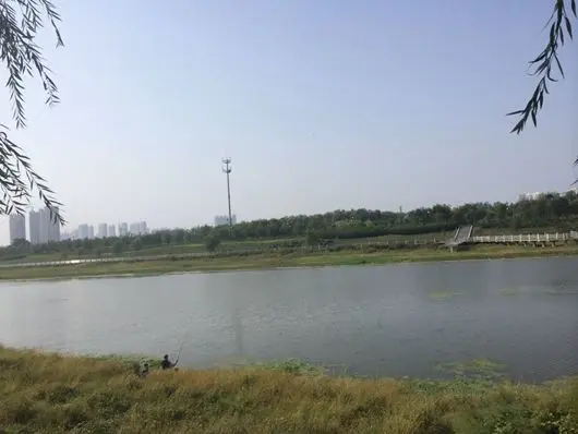 邯郸首届【紫岸】支漳河大型放生活动感恩启幕
