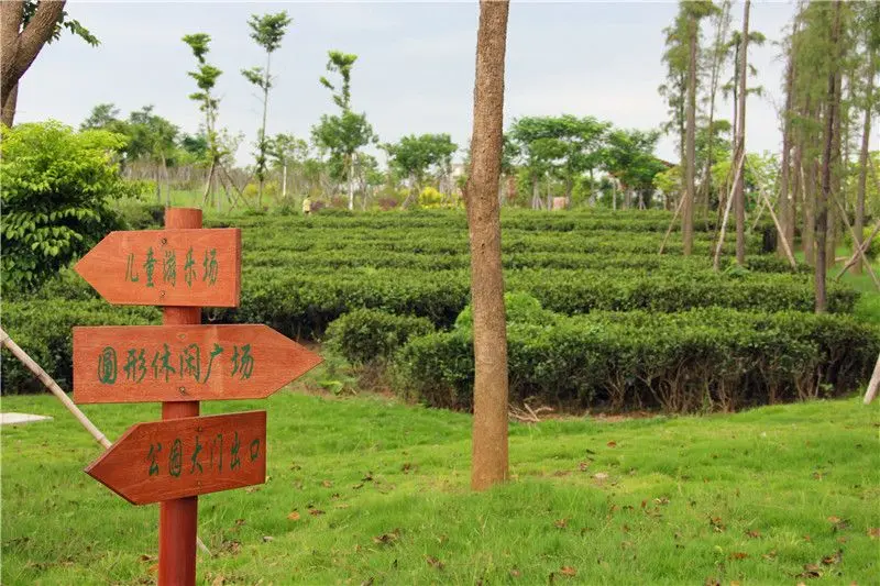 离项目400米潼侨公园实景图(图片来源:房天下)