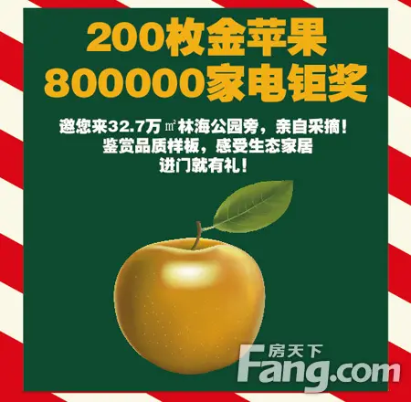 金猴圣诞送苹安