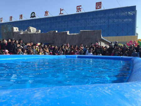 唐山海狮表演登陆欢乐港湾水上乐园