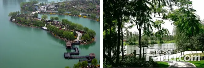 在保利•鑫城一路之隔,就是金龙湖生态公园,有300亩湖面及环湖