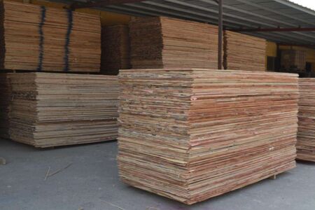 杨木板材价格？杨木板材的优点是什么？
