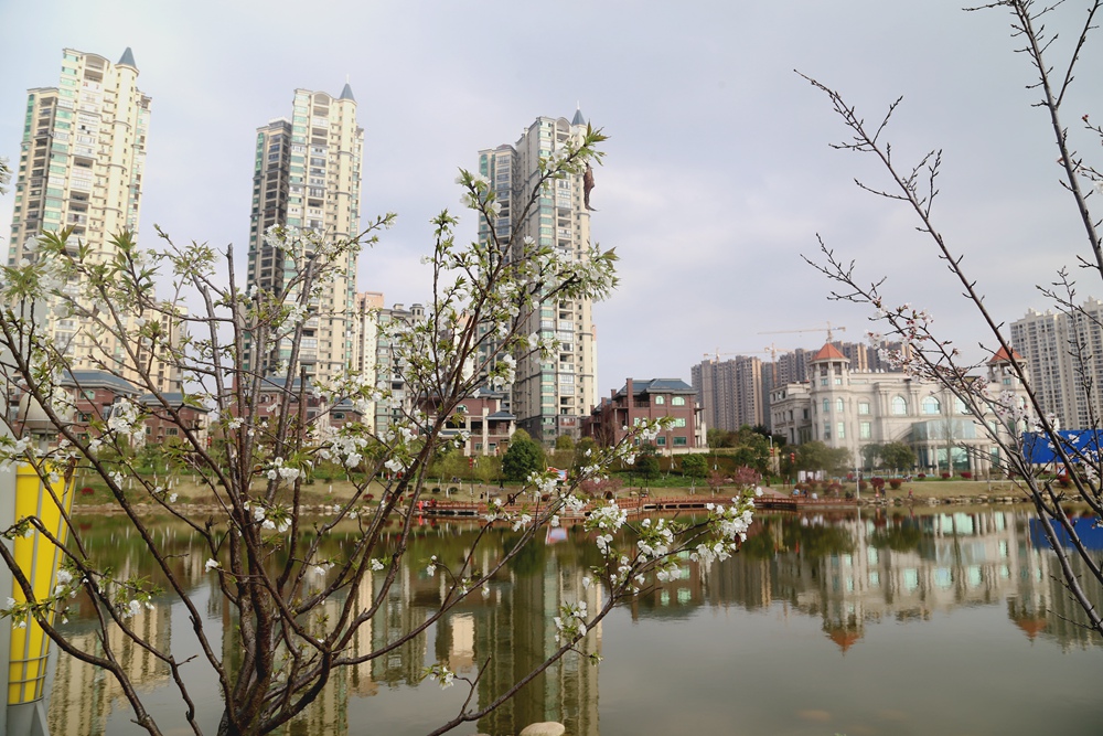 邵阳大道与邵檀路交汇处(凤形山)4008132766 转 634474在售住宅大祥区