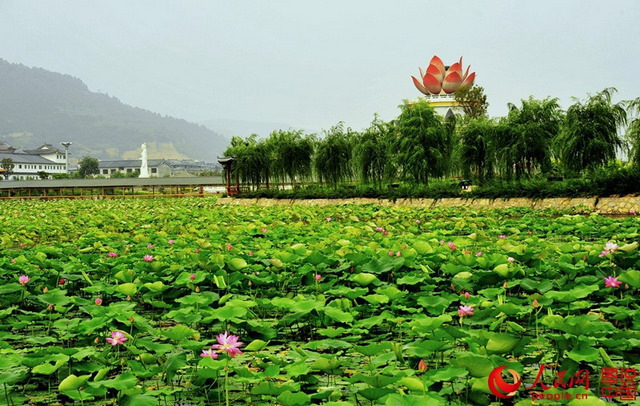 宜阳莲花公园