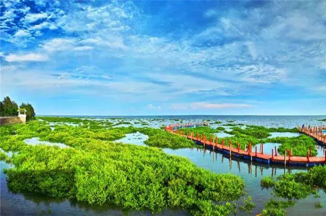 广西壮族自治区北海市滨海国家湿地公园(冯家江流域)水环境治理工程