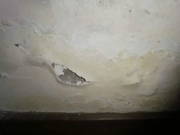 二,墙面反碱怎么处理?