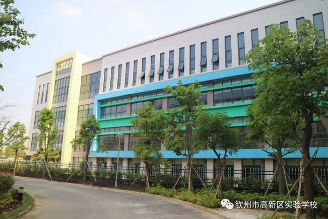 河东区公立学校高新实验学校 买好房 读好学校