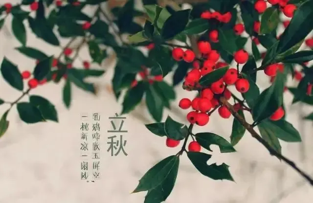 【御都国际】立秋丨白露降,秋信至