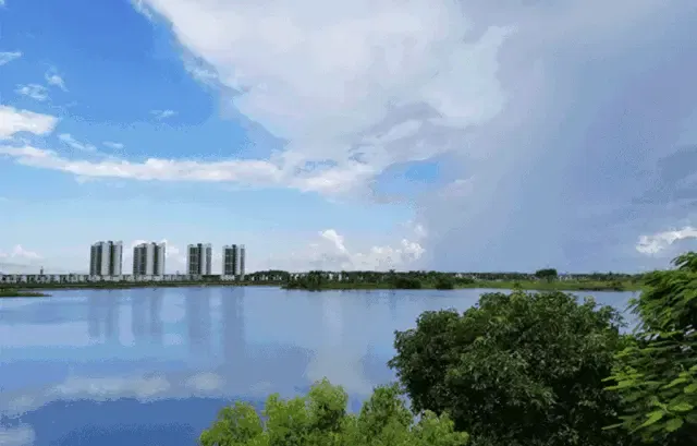 午后清风轻抚湖面 是记忆里清凉的蒲扇