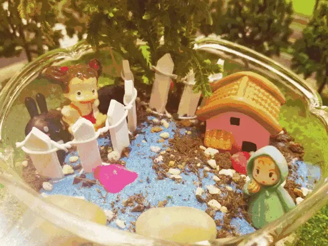 小小微景观,藏着大大的奇妙世界