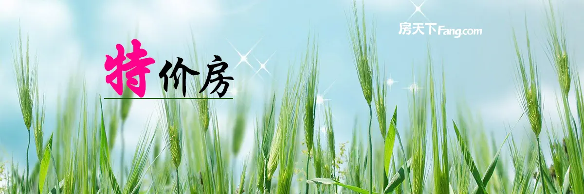 刚需买得起 特价地铁房仅188万起不怕堵