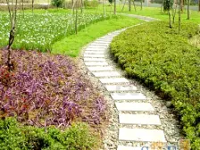 申烨太阳城一期 3室2厅 南