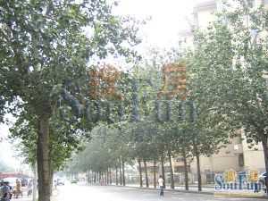丽泽·东瑞丽景·2室·1厅