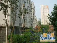 双阳卧 楼层好 视野宽阔 采光充足