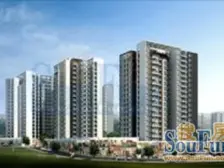 急售急售,金杜洋光小区,精装三房,户型采光楼层好