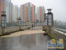 鲁能星城园上 2室1厅 西南