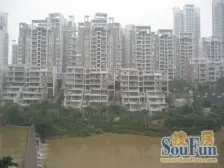 鲁能六街区 正规大四房 蝴蝶户型 精装修 出门是公园