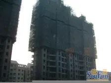 高层视野开阔,采光很好,户型好,房屋通透