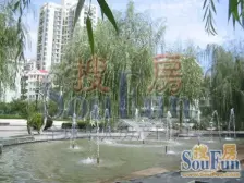 绿色家园 0室0厅 西