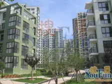 上下复式,带南北双露台阳光房,采光好,视野好