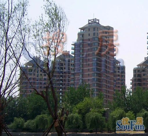 丽景苑3室2厅2卫南北朝向1999.00元/月出租