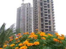 复地上城 2室2厅 南