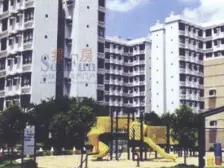 房子落地大窗户,没有遮挡,户型方正