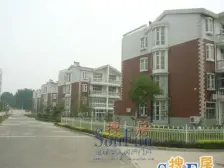 帝苑别墅 4室2厅 南