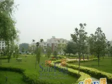 帝苑别墅 电梯双气 复式洋房带露台 居住安静舒适