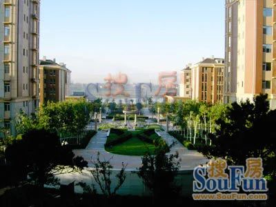绿地长春上海城1室1厅1卫南北朝向1400.00元/月出租