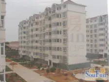 美罗江畔 江景房 户户*南 大间距