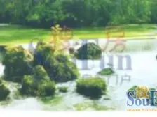 业主诚意出售,南北对流 产权清晰